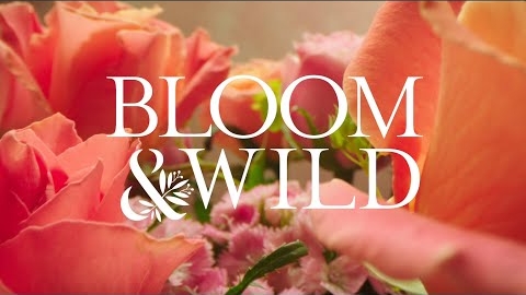 Bloom & Wild